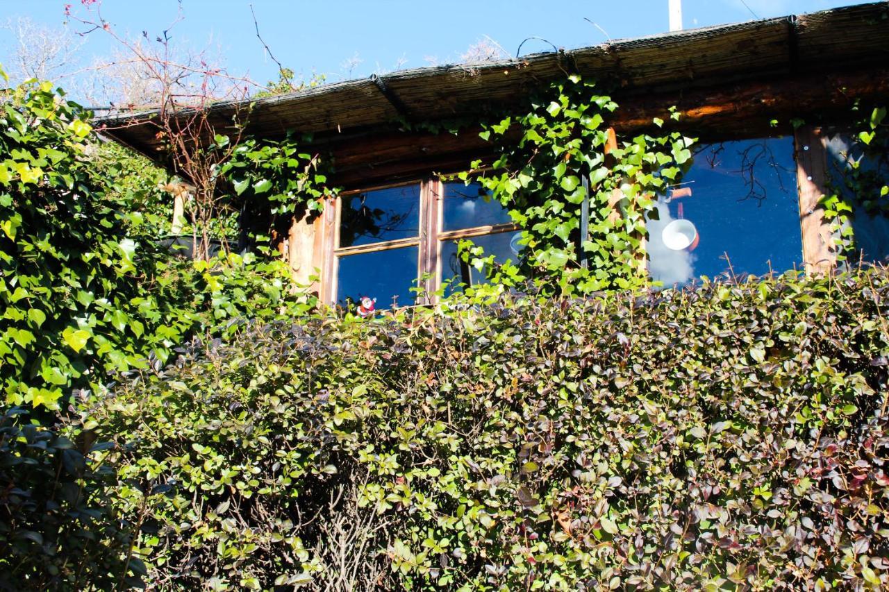 "Casa Ibero" Bubion, Alojamiento Turistico Rural Экстерьер фото