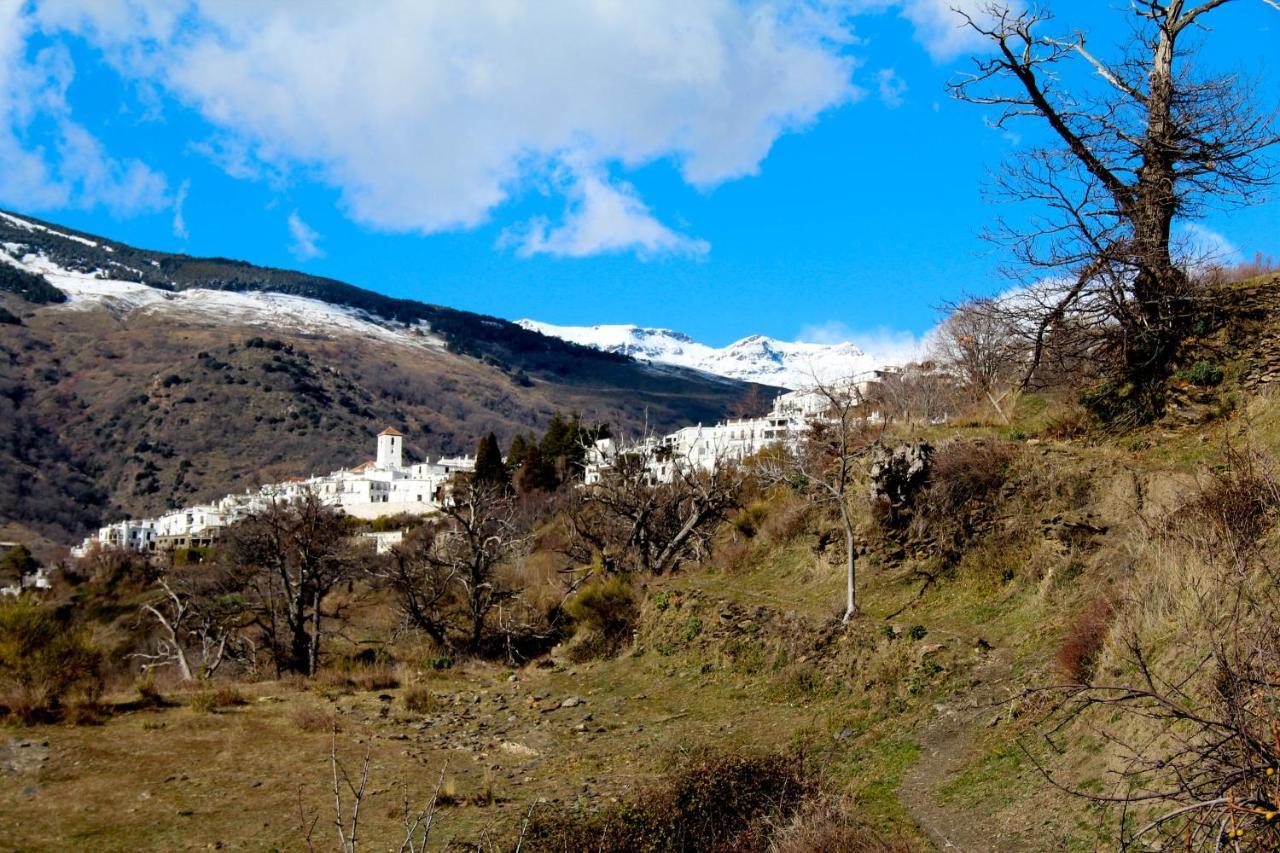 "Casa Ibero" Bubion, Alojamiento Turistico Rural Экстерьер фото